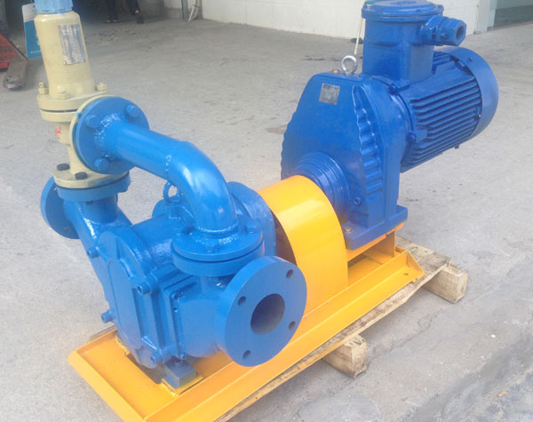 奧戈恩高品質(zhì)高性價(jià)比轉(zhuǎn)子泵