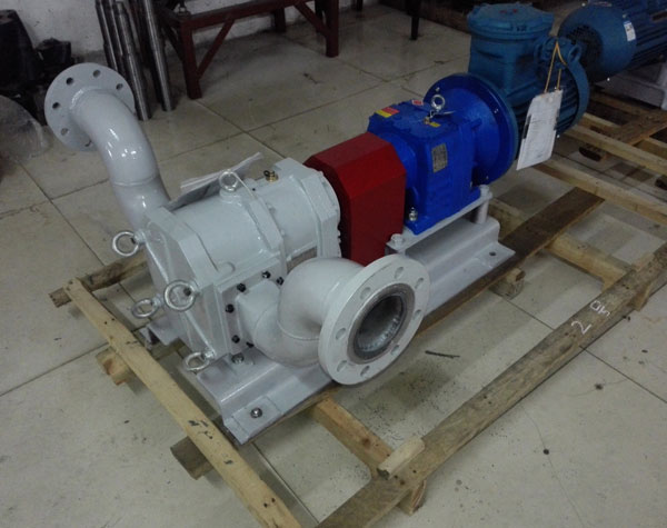 不銹鋼轉(zhuǎn)子泵生產(chǎn)廠家如何選擇?這個(gè)泵使用如何