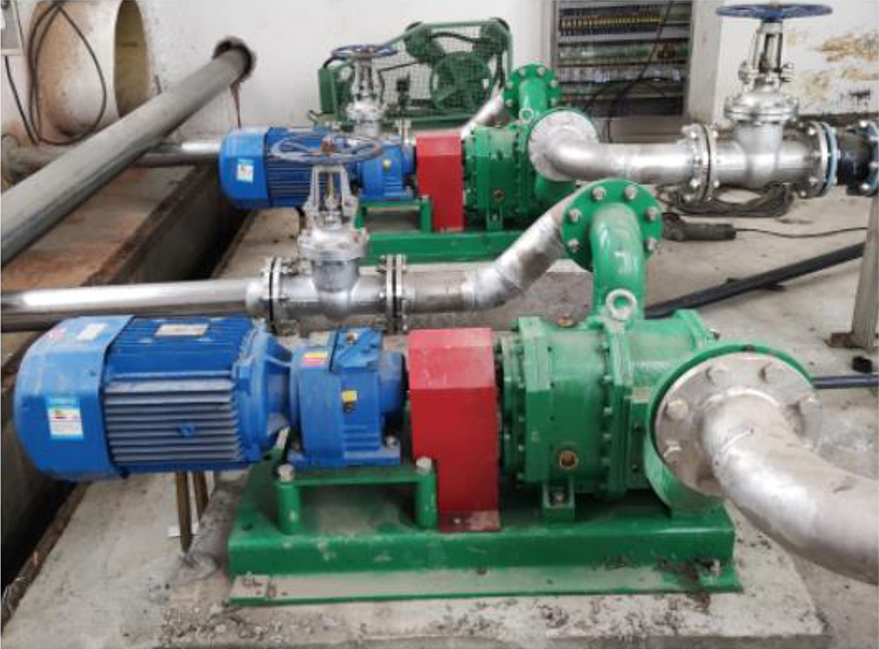 豬糞轉(zhuǎn)子泵2