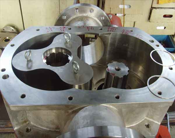 轉(zhuǎn)子泵生產(chǎn)廠家 轉(zhuǎn)子泵生產(chǎn)廠家